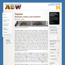 Talpidae: Information