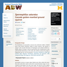 Spermophilus saturatus: Information