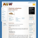 Chaetomys subspinosus: Information