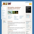 Spermophilus columbianus: Information