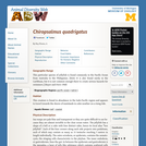 Chiropsalmus quadrigatus: Information