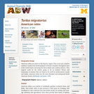 Turdus migratorius: Information