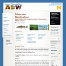 Salmo salar: Information