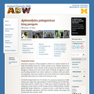 Aptenodytes patagonicus: Information