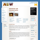 Aplodontia rufa: Information