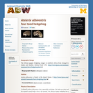 Atelerix albiventris: Information