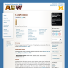 Scaphopoda: Information