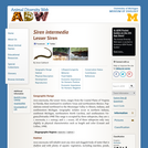 Siren intermedia: Information