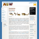 Scandentia: Information