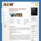 Anodorhynchus hyacinthinus: Information