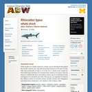 Rhincodon typus: Information