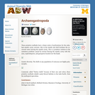Archaeogastropoda: Information
