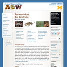 Boa constrictor: Information