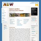 Apalone spinifera: Information
