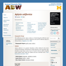 Aplysia californica: Information