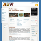 Python regius: Information