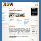Arctocephalus australis: Information