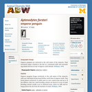 Aptenodytes forsteri: Information