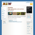 Amphibia: Information