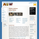 Python molurus: Information