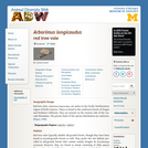 Arborimus longicaudus: Information