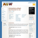 Arctocephalus philippii: Information