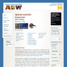 Apteryx australis: Information