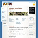 Ailuropoda melanoleuca: Information