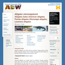 Alligator mississippiensis: Information