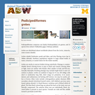 Podicipediformes: Information