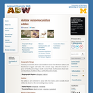 Addax nasomaculatus: Information