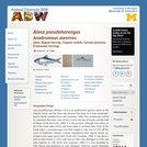 Alosa pseudoharengus: Information