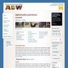 Agkistrodon piscivorus: Information