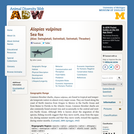 Alopias vulpinus: Information