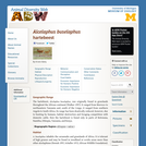 Alcelaphus buselaphus: Information