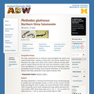 Plethodon glutinosus: Information