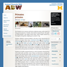 Primates: Information