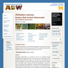 Plethodon cinereus: Information