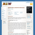 Agkistrodon contortrix laticinctus: Information