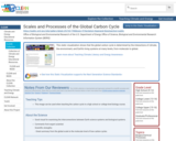 Scales and Processes of the Global Carbon Cycle