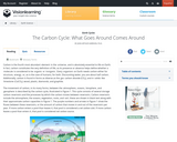 The Carbon Cycle: What Goes Around Comes Around