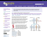 The Molecular Biology of Mutations and Muscular Dystrophy