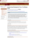 Constructing Phylogenetic Trees: The Whippo Story