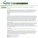 The American Red Squirrel an Outdoor Inquiry Lesson