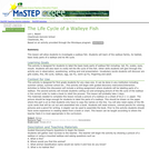The Life Cycle of a Walleye Fish