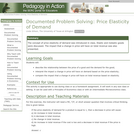 Documented Problem Solving: Price Elasticity of Demand