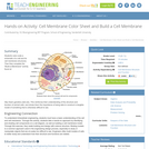 Cell Membrane Color Sheet and Build a Cell Membrane