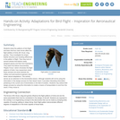 Adaptations for Bird Flight – Inspiration for Aeronautical Engineering