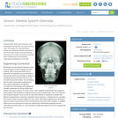 Skeletal System Overview