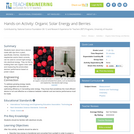Organic Solar Energy and Berries